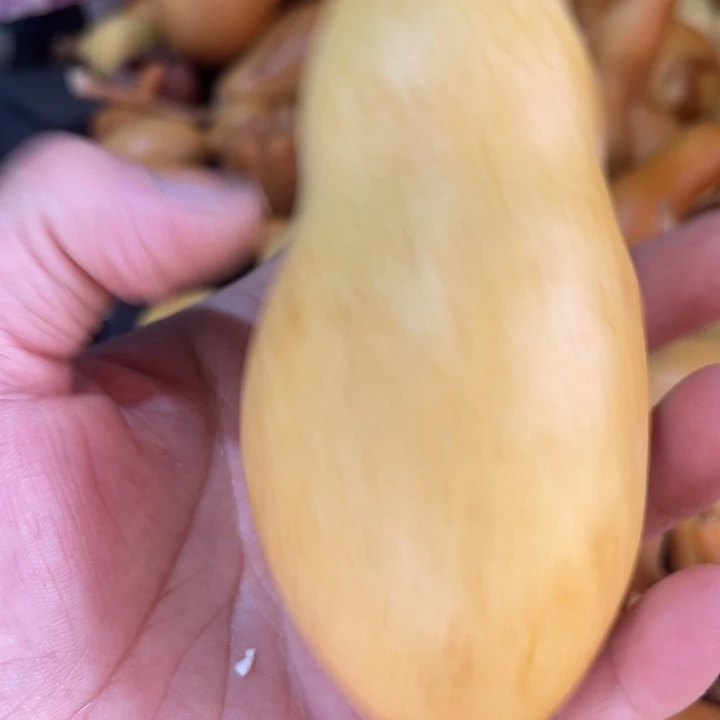 我***万葫芦葫哈哈哈哈干活吧
