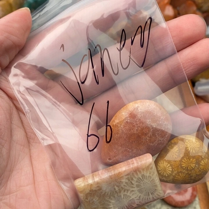 J***y颈饰未镶嵌硅化珊瑚（珊瑚玉）