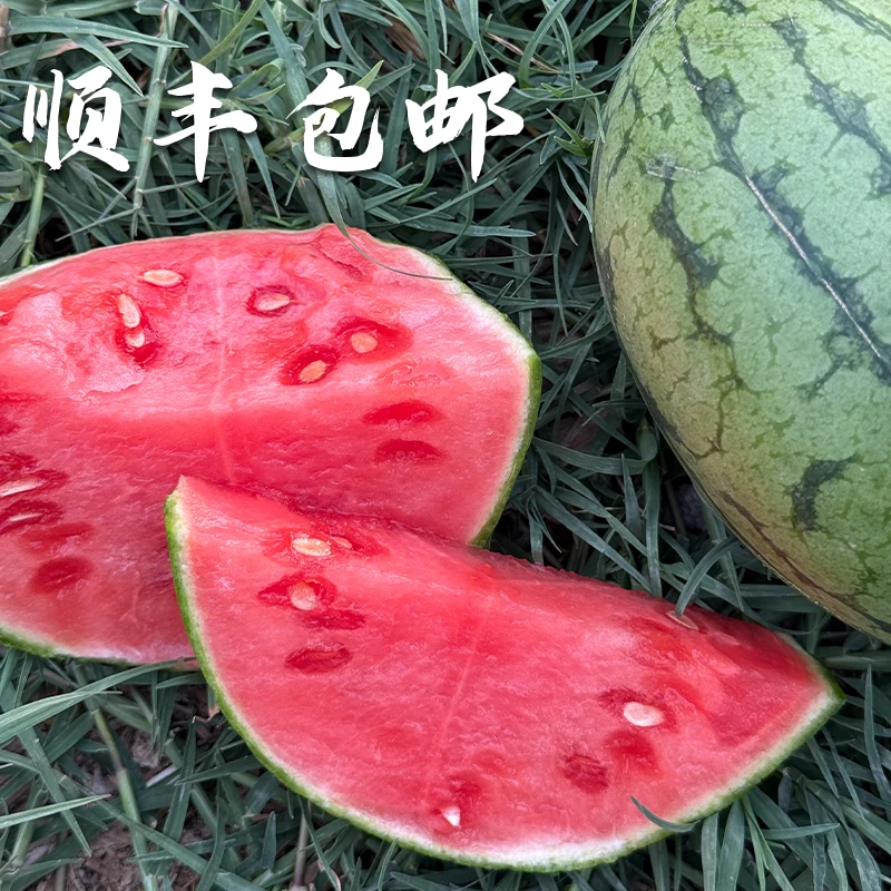 【建康啊】陕西手剥小吊篮西瓜皮薄肉脆清甜多汁顺丰包邮