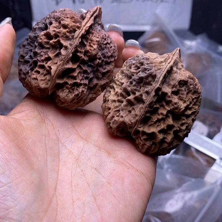 核桃云南野生铁核桃155号45mm