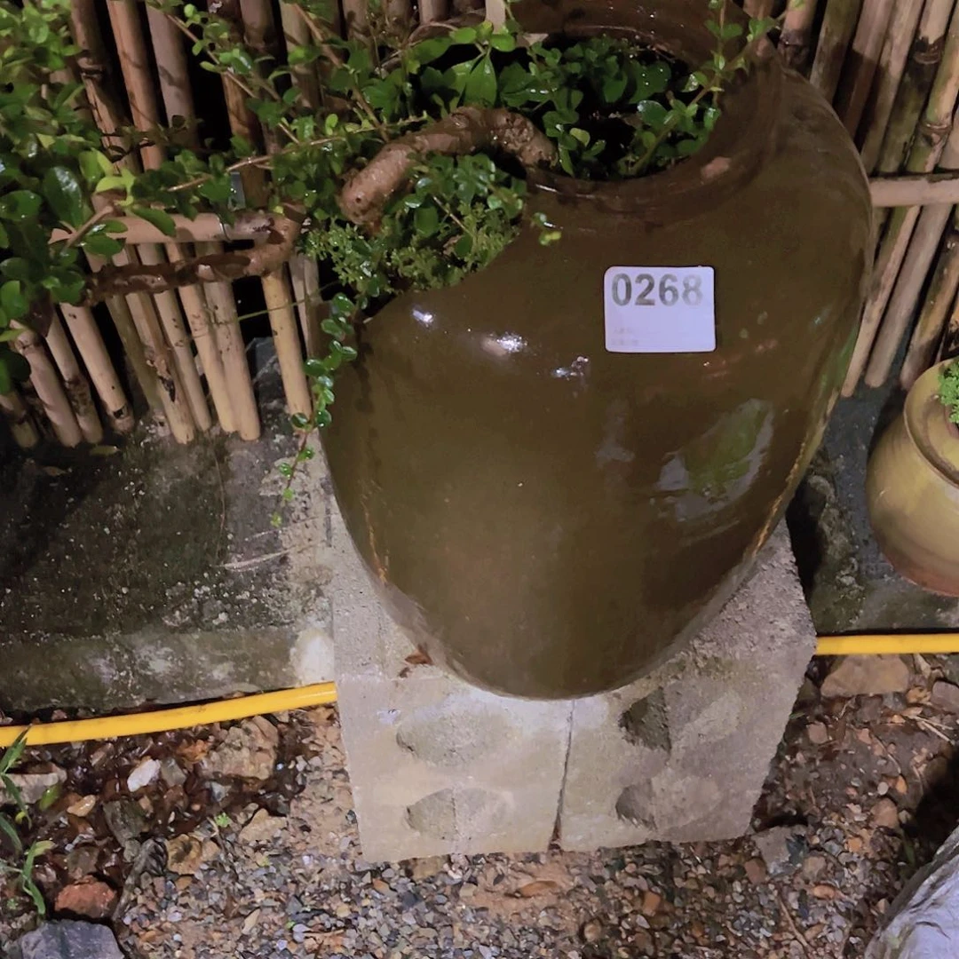 【闪购商品】土陶陶罐豪*哥268