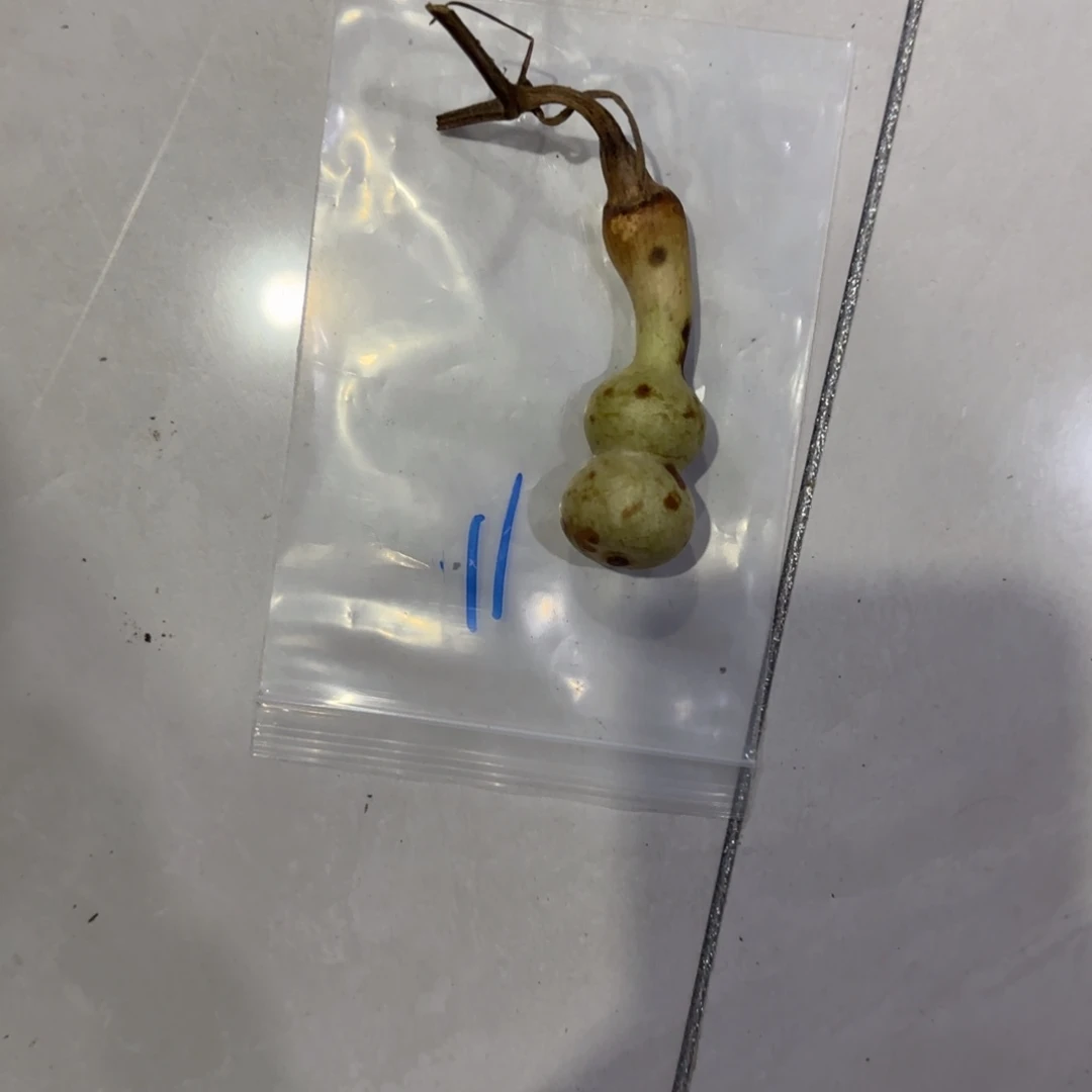 剁***手青皮不包成青皮不包成