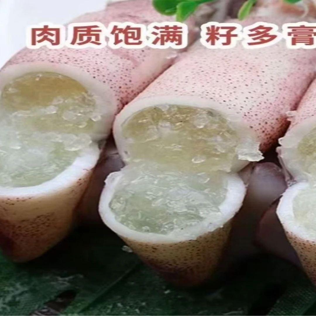 新鲜满籽海兔新鲜笔管鱼籽乌墨鱼仔包邮一包10只3包30只