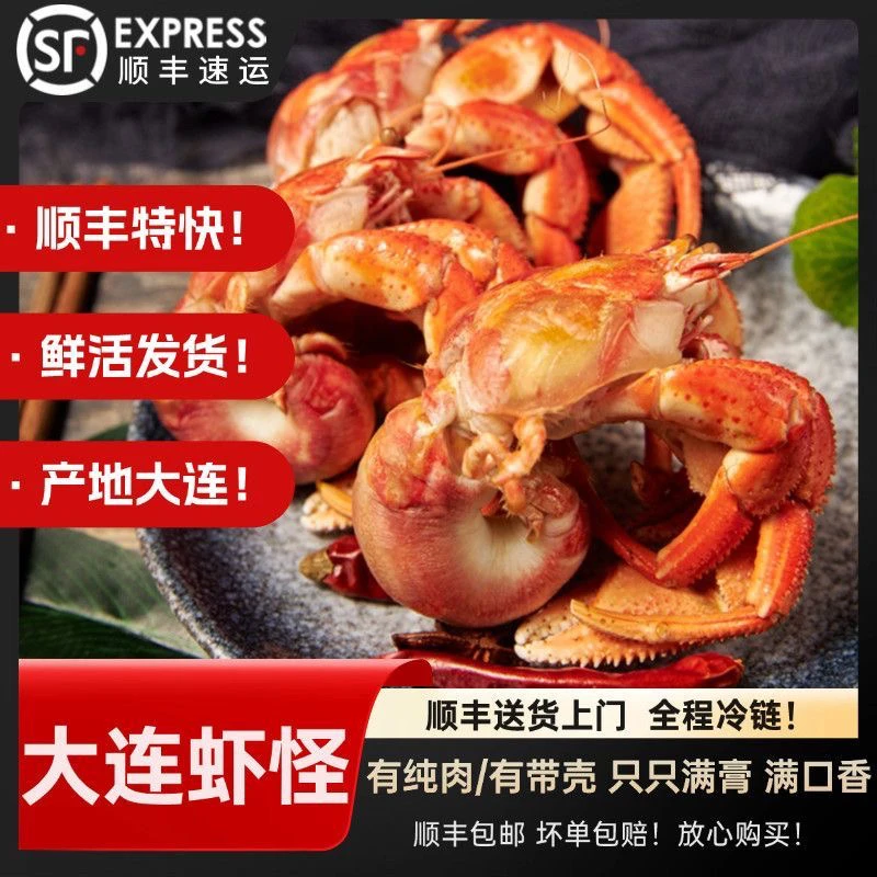 大连特产虾怪/寄居蟹保鲜不包活全国发顺丰