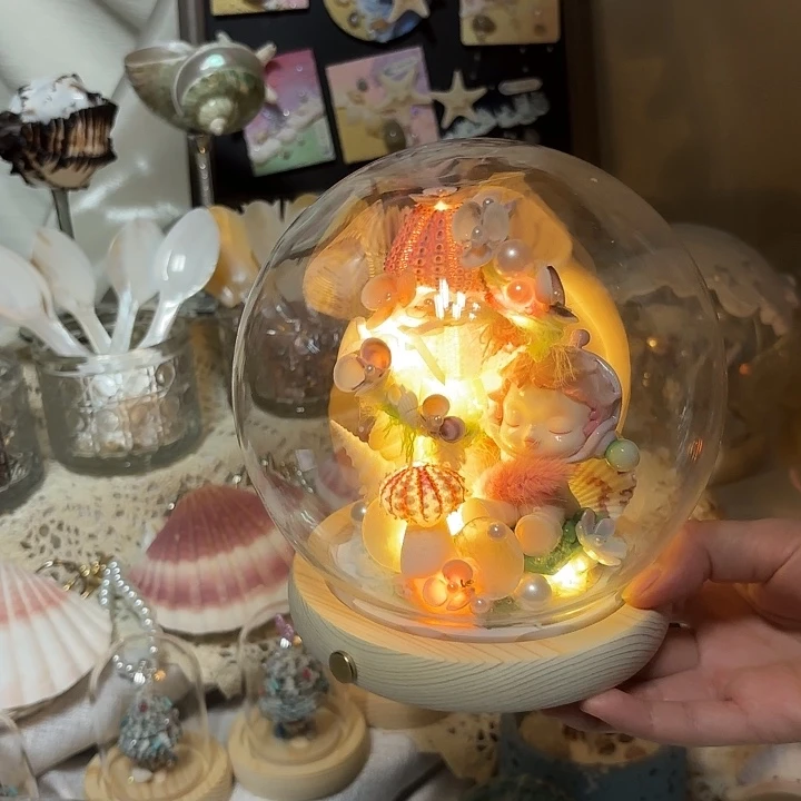 天然贝壳海胆小夜灯