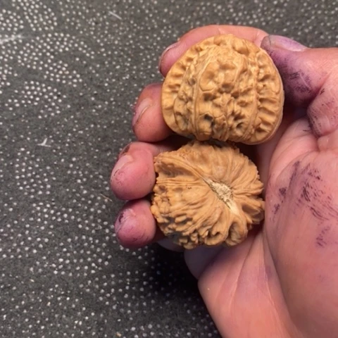 文玩核桃把件三角白10