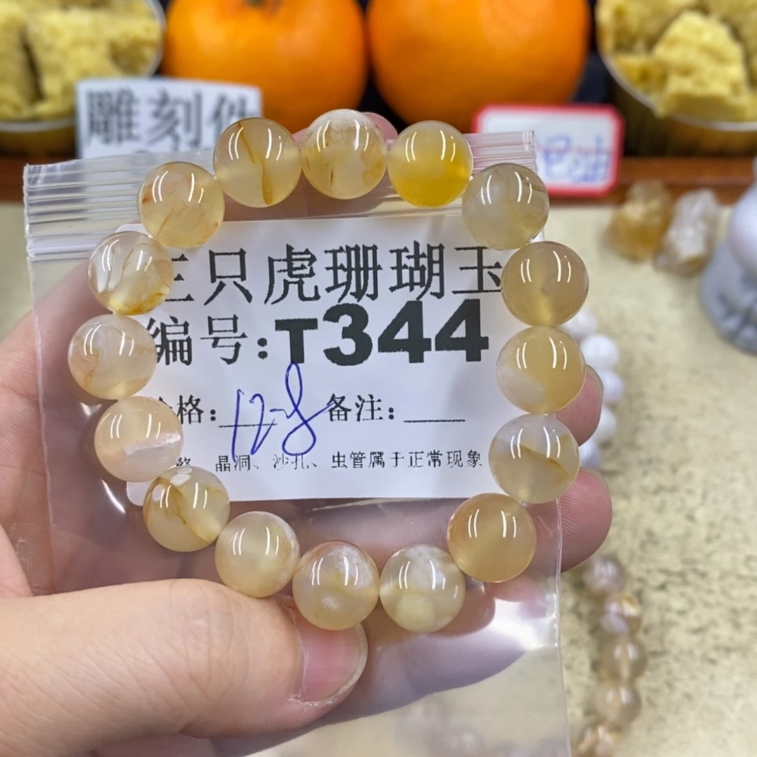 硅化珊瑚（珊瑚玉）1未镶嵌小**ฅ