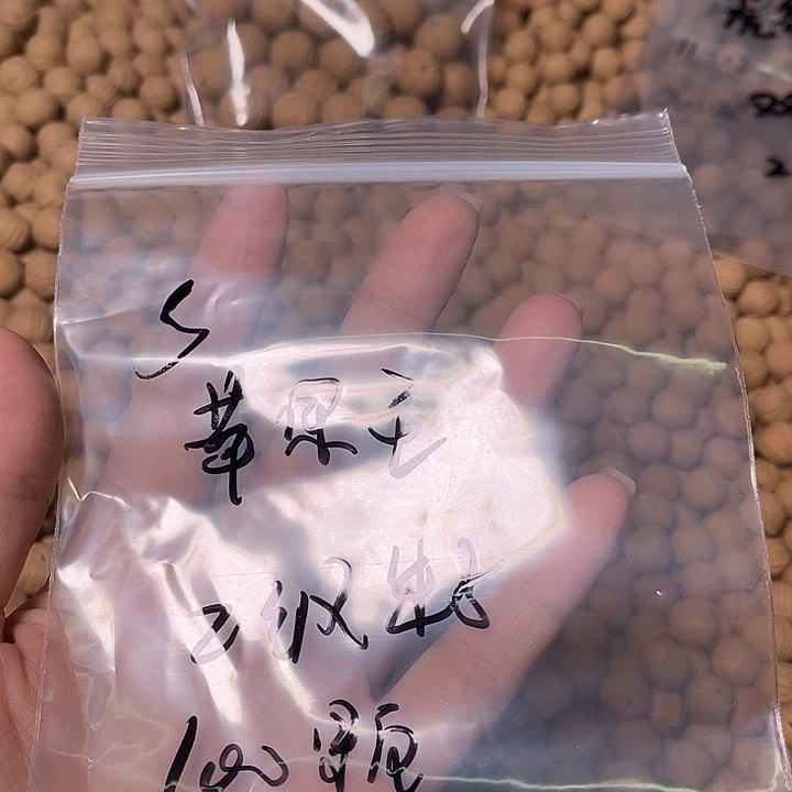 s***猴头核桃手串苹果王二级籽100颗