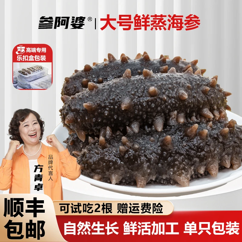 【年终狂欢季】参阿婆大号鲜蒸海参即食新鲜海刺参买20送10头送礼