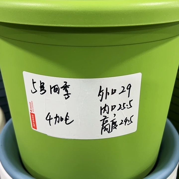 特价5号口29高24.5白色5只无托