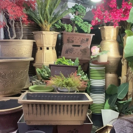 复合盆景8999688888