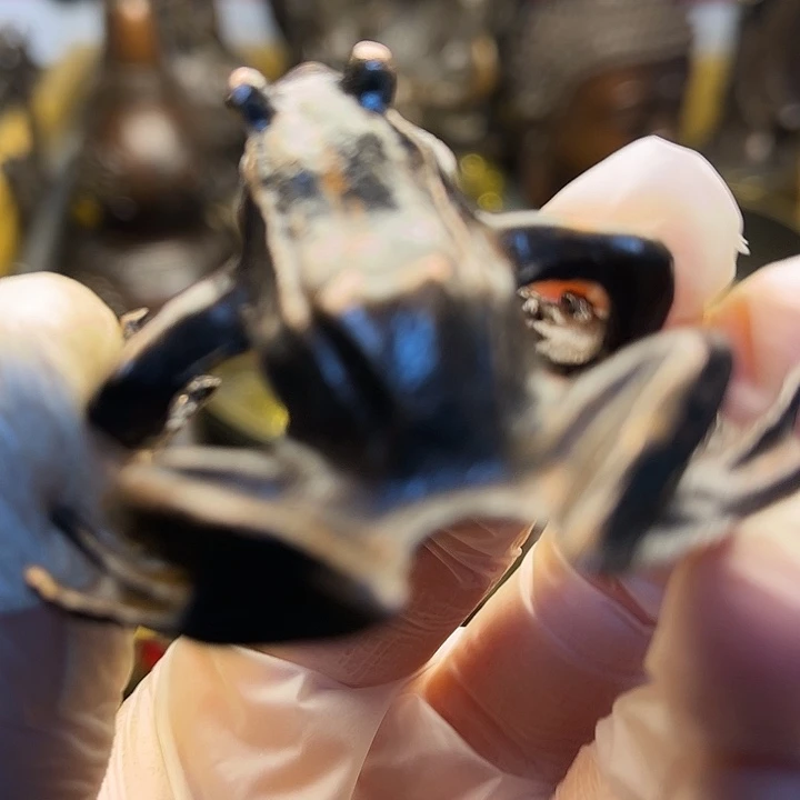 铜366666666666666666