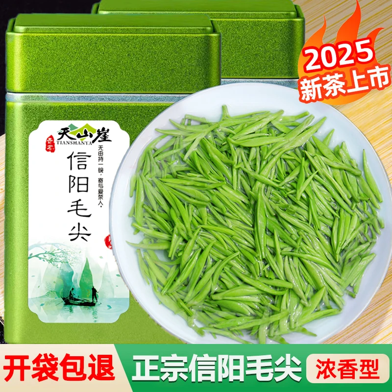 天山崖信阳毛尖绿茶2025新茶叶雨前春茶高山云雾嫩芽叶浓香型礼盒