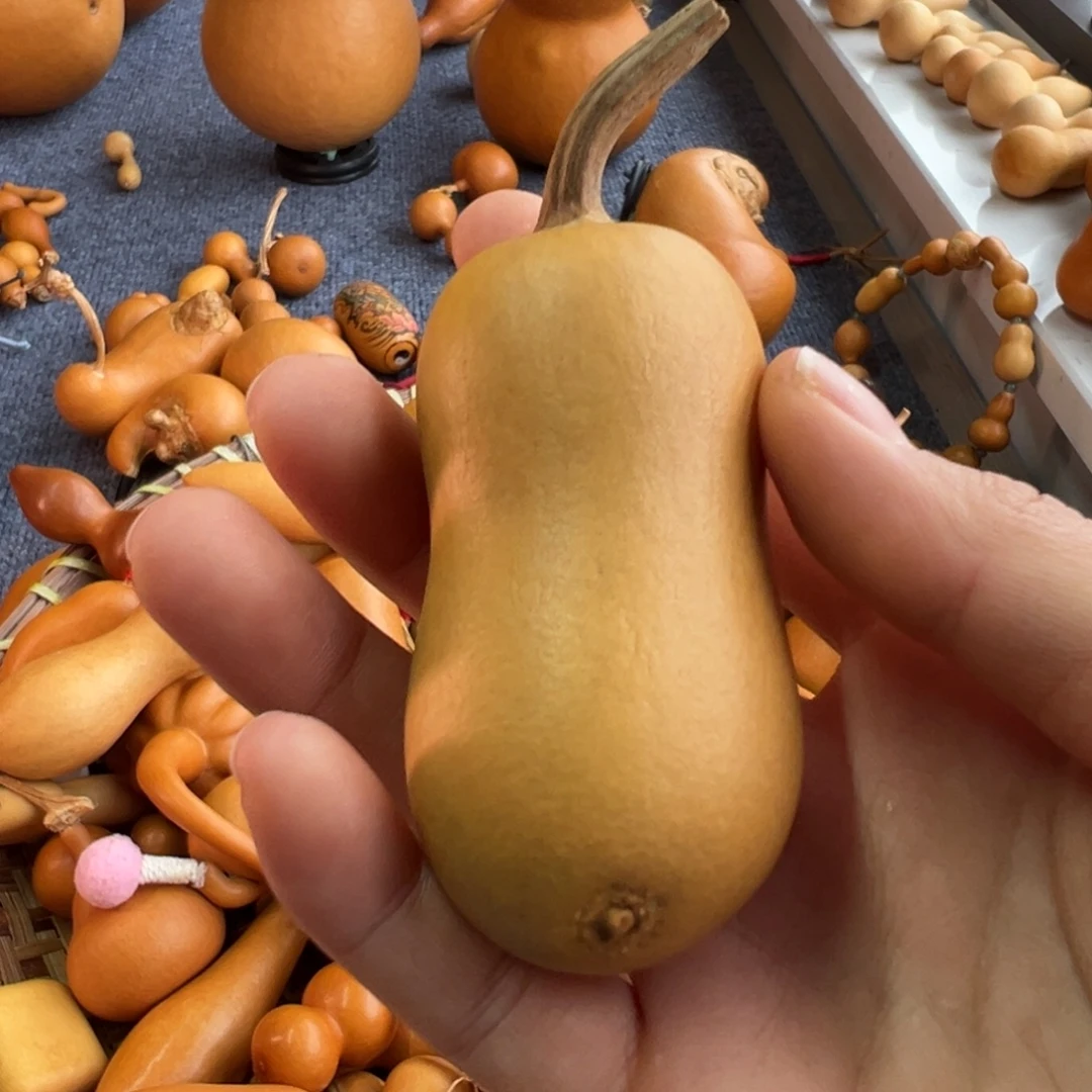 A***³葫芦葫芦葫芦葫芦