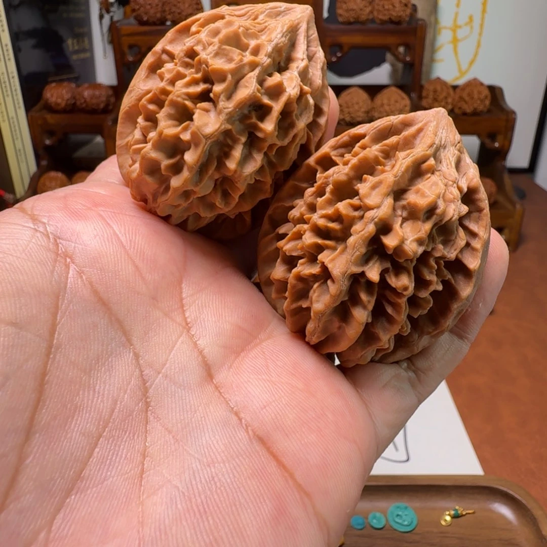 道哥俱乐部f招财鼠44.5