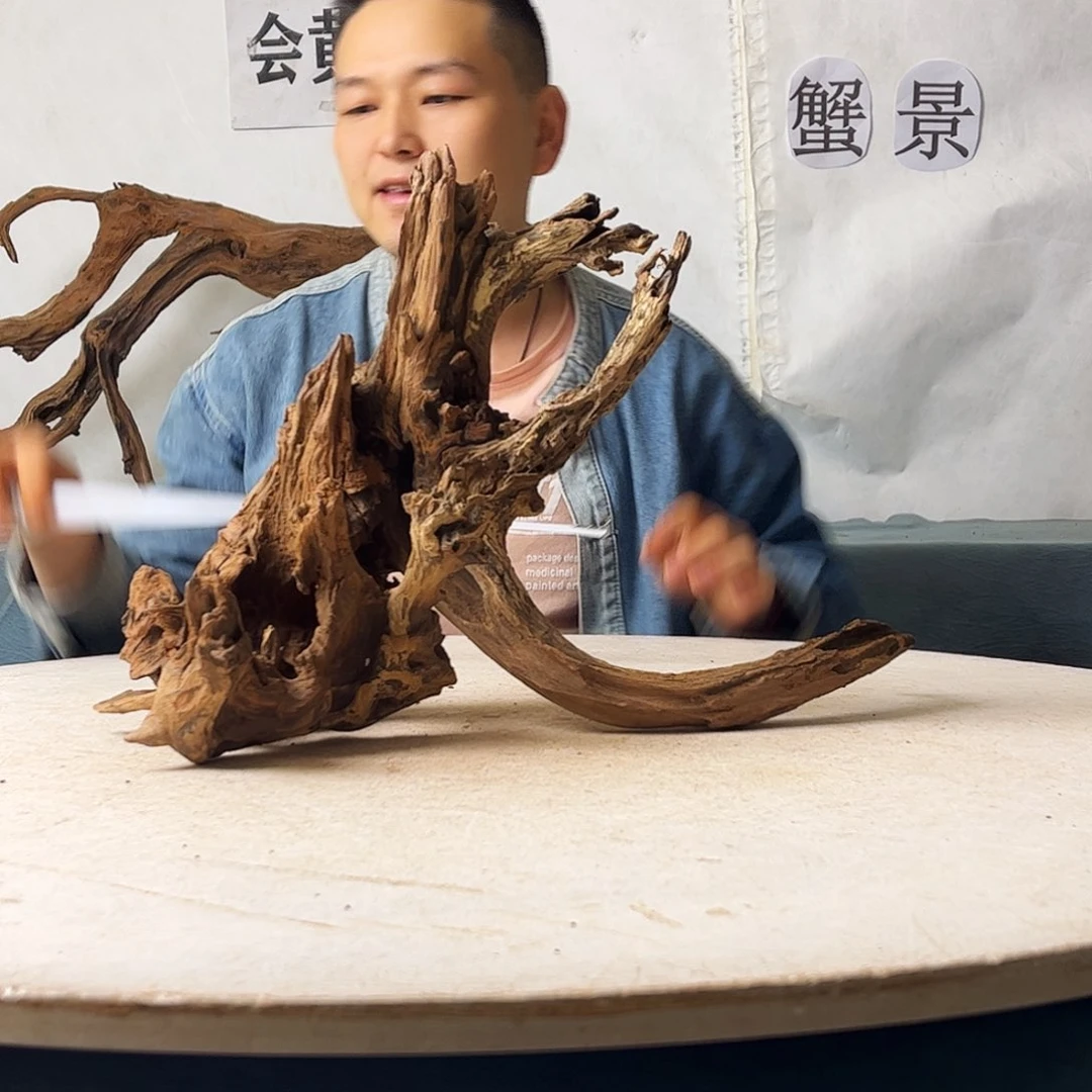 44.31.23 沉木造景爬宠造景