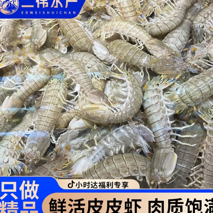 二界沟虾爬子3斤69.9顺丰包邮保鲜不保活皮皮虾