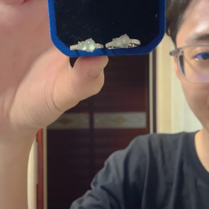 翡翠银S925镶嵌颈饰耳饰