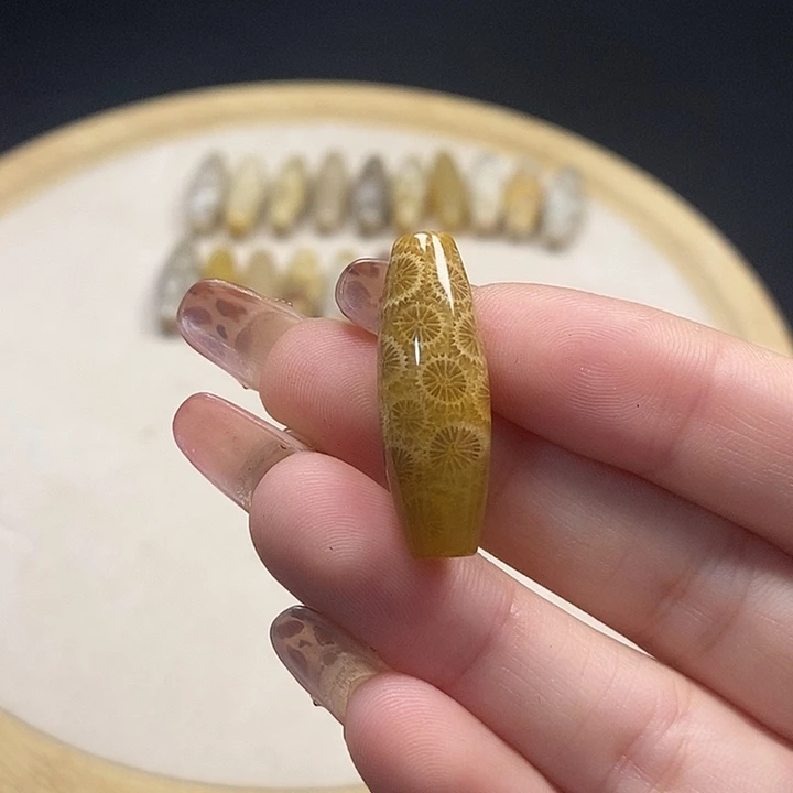 硅化珊瑚（珊瑚玉）未镶嵌颈饰