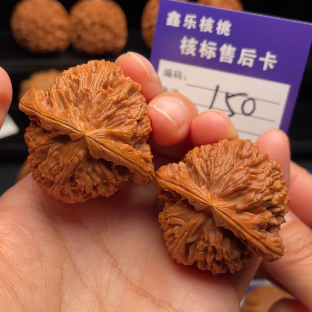 文玩核桃把件老树白狮子42尺