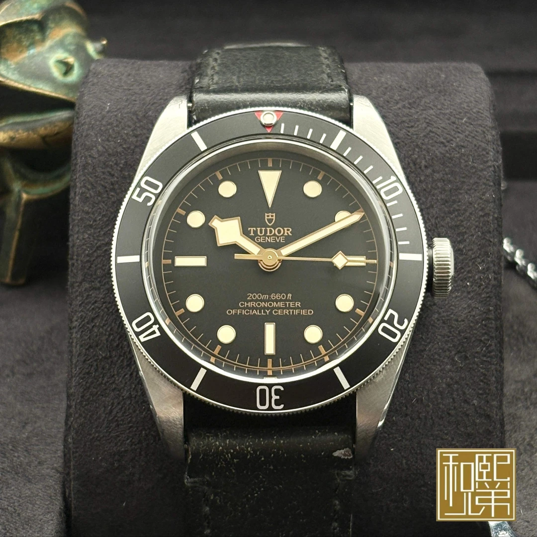 95新 TUDOR/帝舵 碧湾/M79230N-0008/金针黑盾/23全41