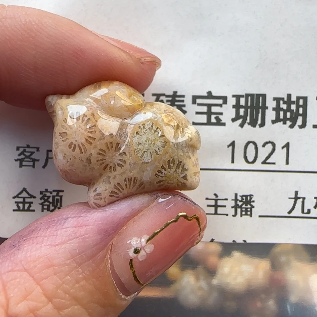 硅化珊瑚（珊瑚玉）未镶嵌颈饰