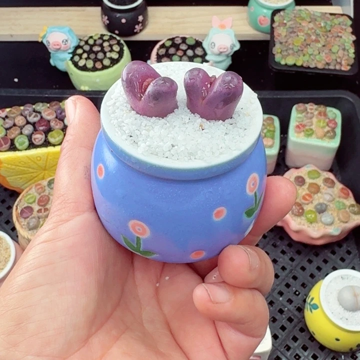 535零下地区记得拍保温箱满18包邮