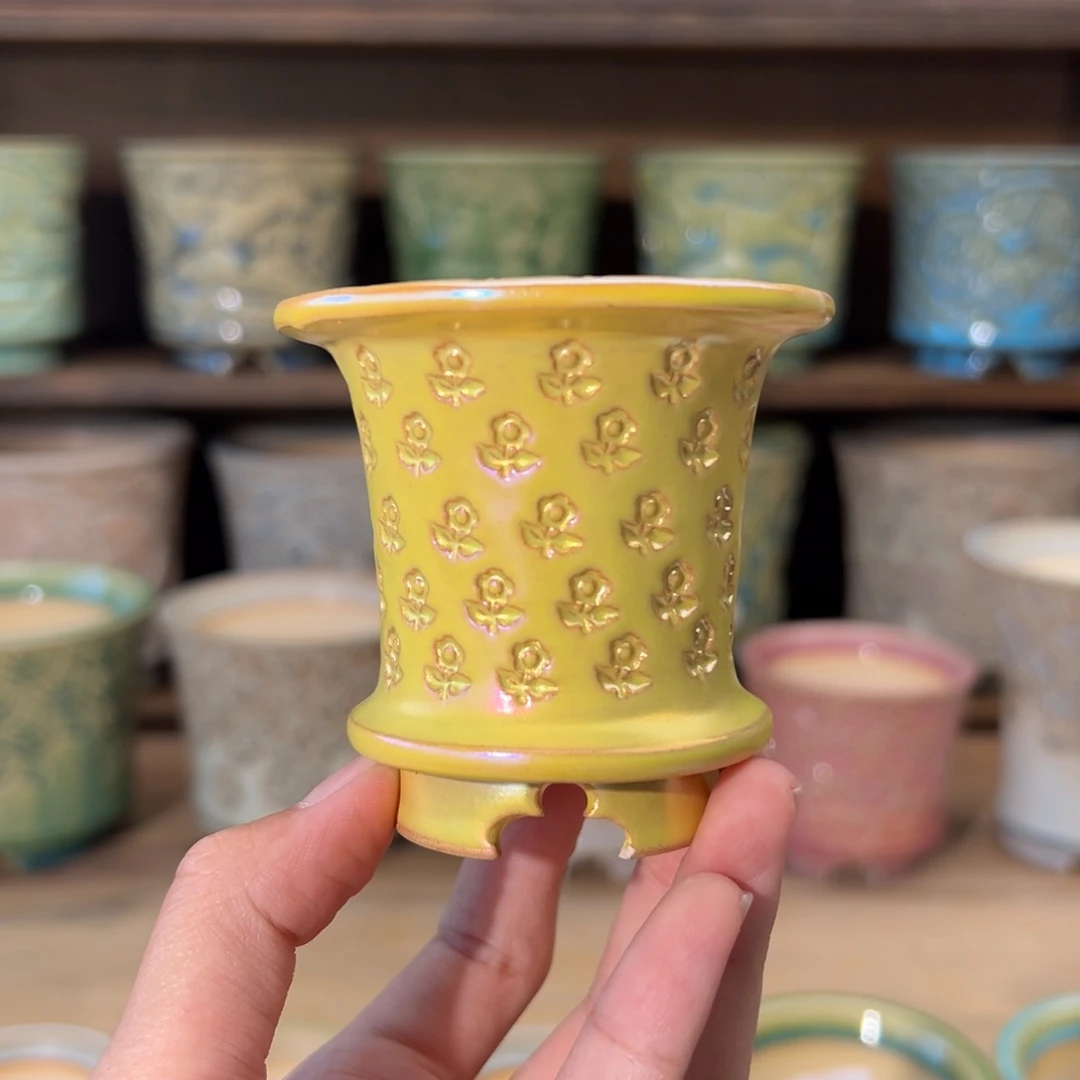 瓷片DY0117-056xxs一组一个