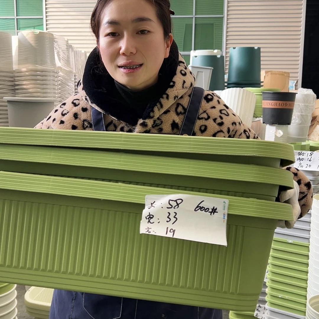 菜盆600#果绿3个无托