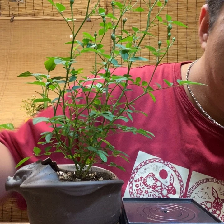 一物一拍所见即所得278