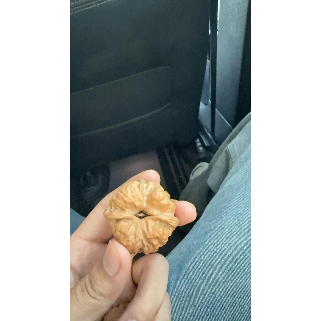 精品金蟾蛤蟆头文玩核桃大尺寸开背山地果上色快精配