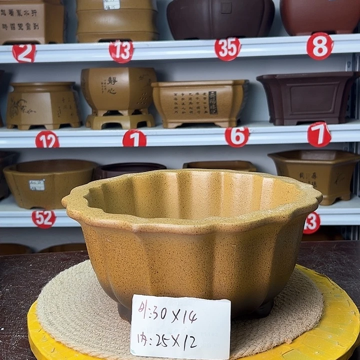 花盆紫砂你在一起