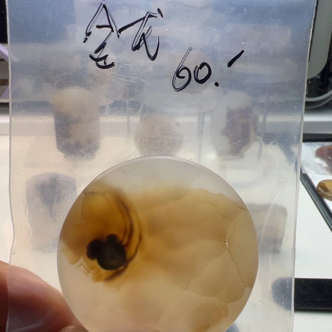 未镶嵌玛瑙/玉髓珠宝奇石金*