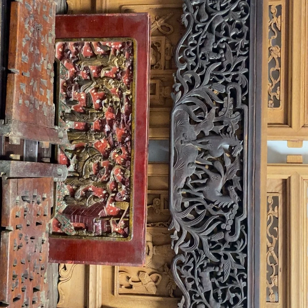 海***星香榧木1111111111111111