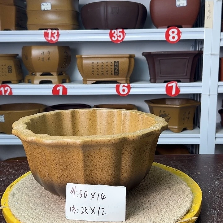 花盆紫砂你在一起