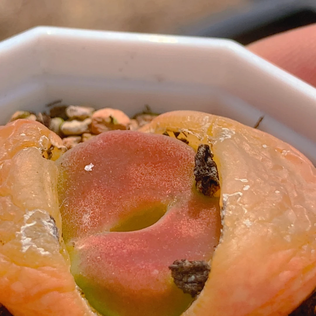 555655665665655565564858