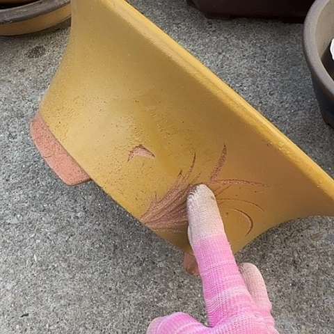 紫砂23黄票口花盆花盆