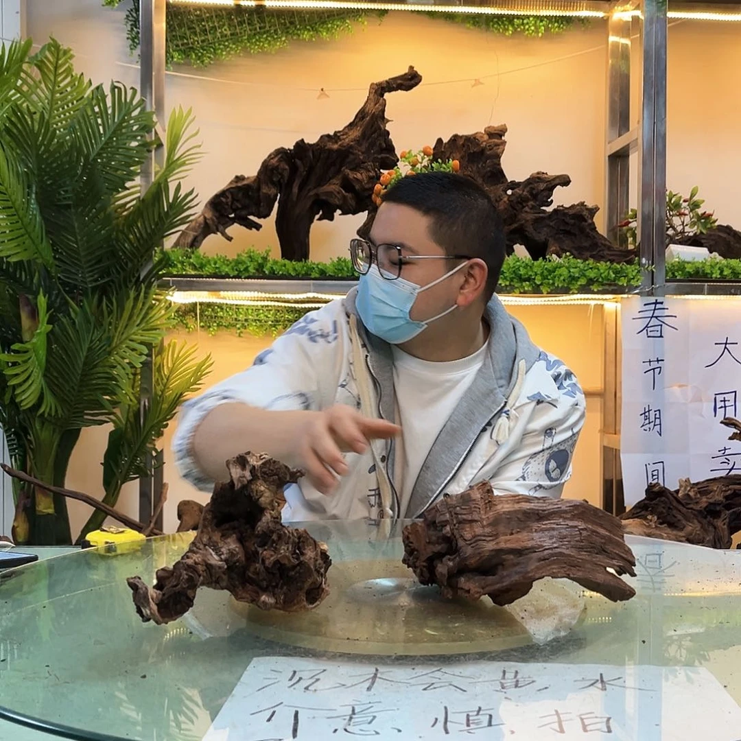 柚木沉木鱼缸造景