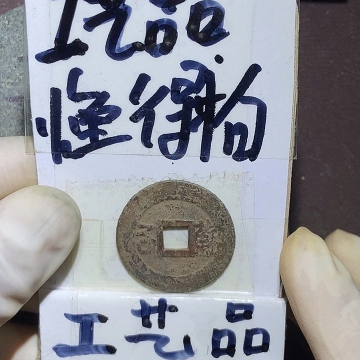 舒懂的拍哈宝子们