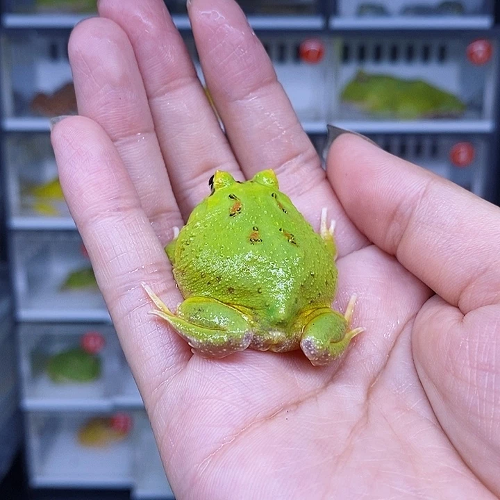 特价秒杀现货特价