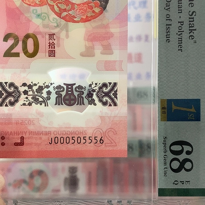 塑料小司令056，双豹子