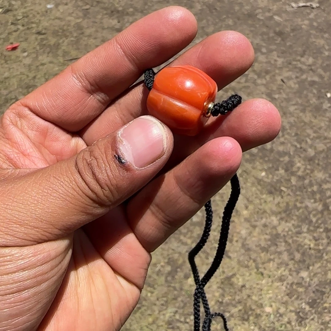 柏香籽/百香籽吊坠藏弟出品，菩提18