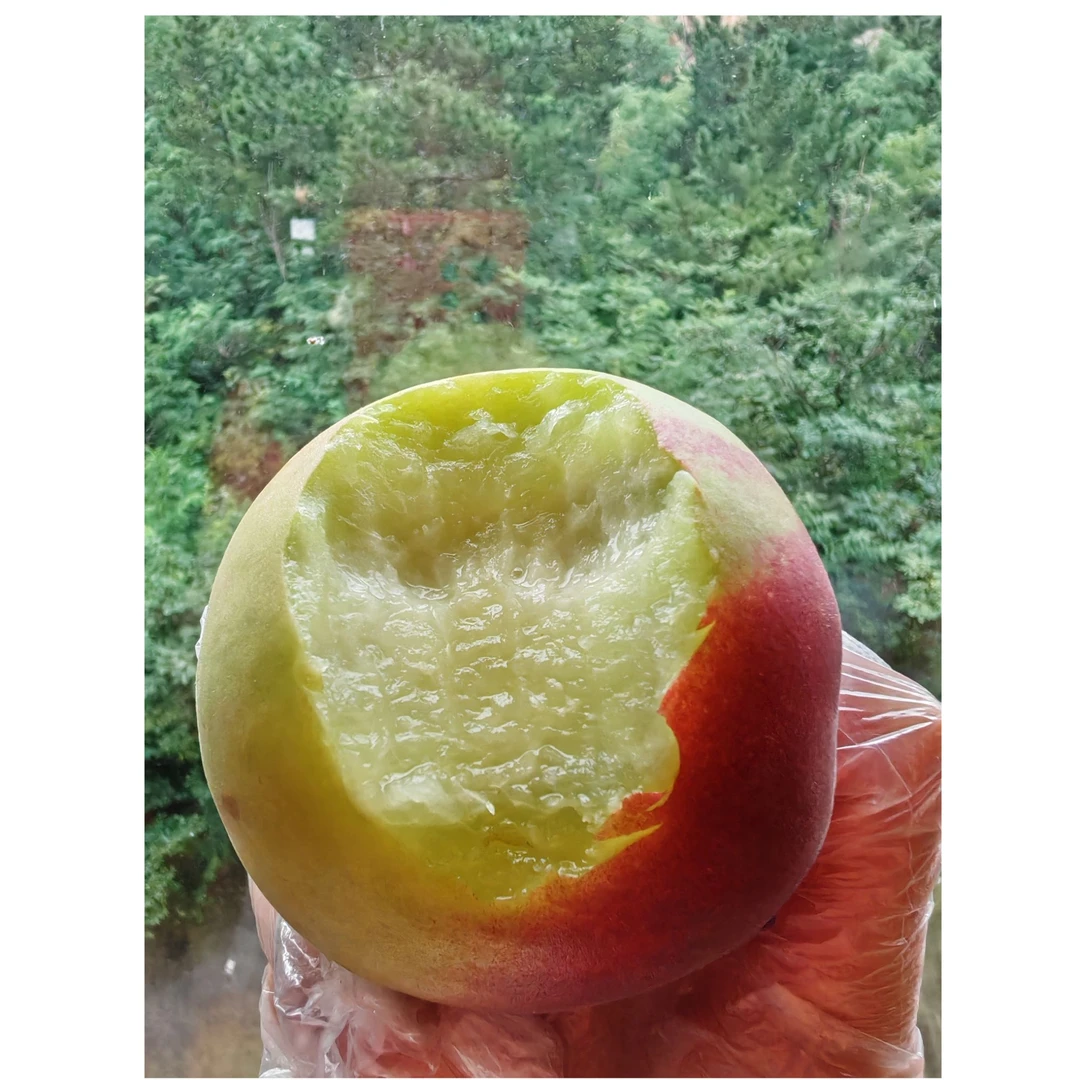 大连特产波罗蜜水蜜桃新鲜脆甜放软吃蜜甜多汁现摘单选邮顺丰快递