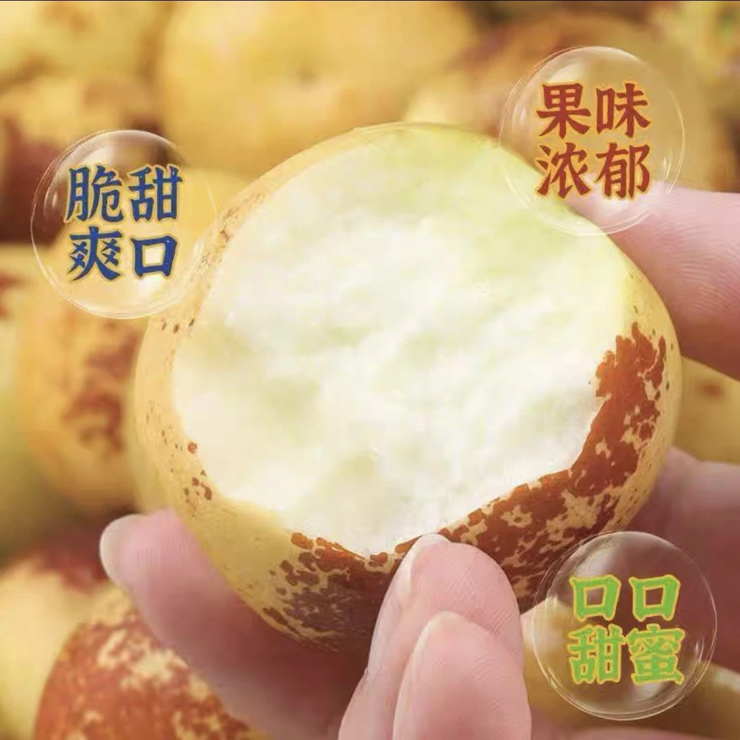 山东沾化现摘脆甜冰糖冬枣当季新鲜水果