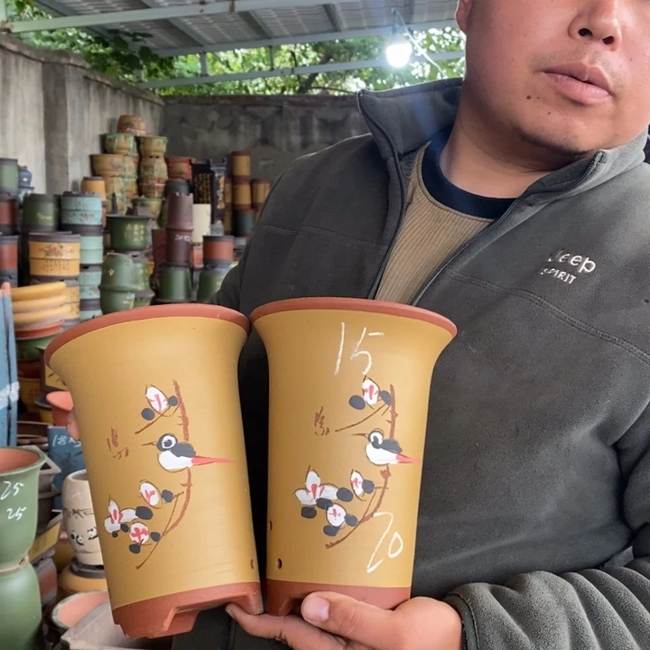 紫砂花盆盆栽花卉苗木种植