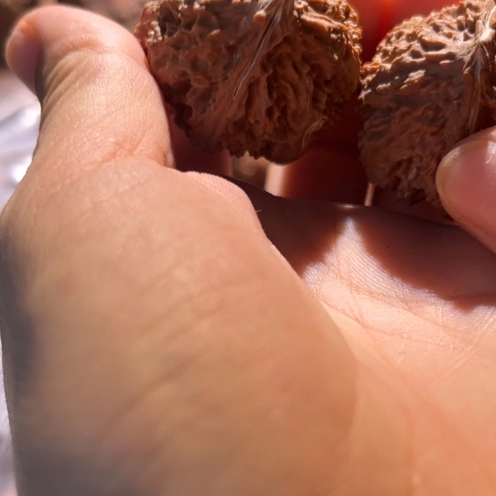 桃核把件九哥楸核33