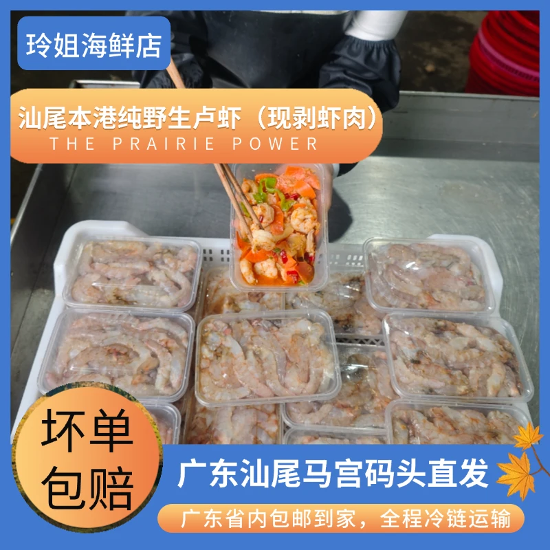 广东汕尾马宫本港纯野生天然芦虾（现剥芦虾肉）冷链配送（送货上门）