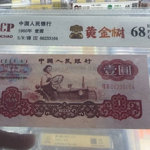 纸三版一元黄金树一张3113
