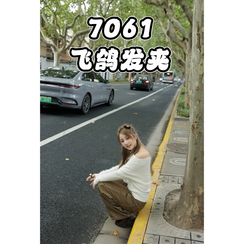 个性百搭飞鸽发夹7061