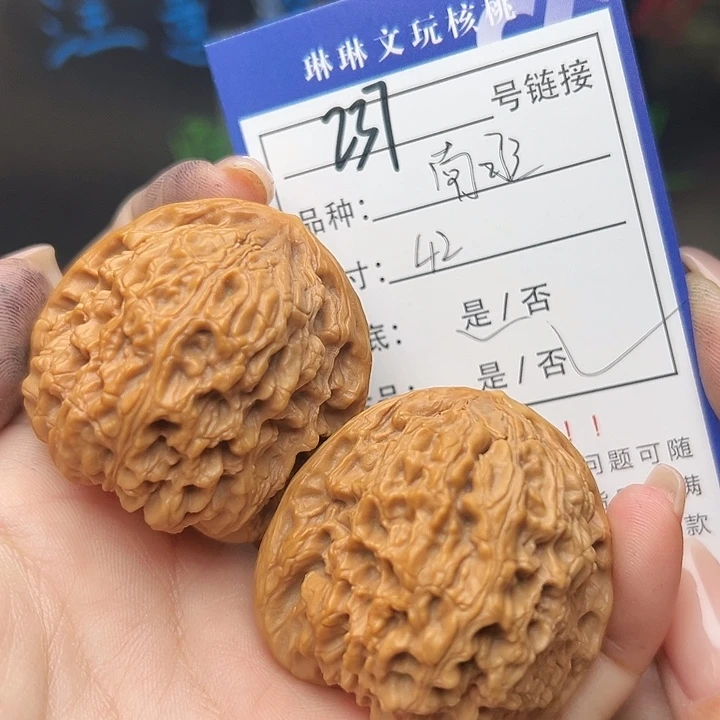文玩核桃吊坠核桃树237